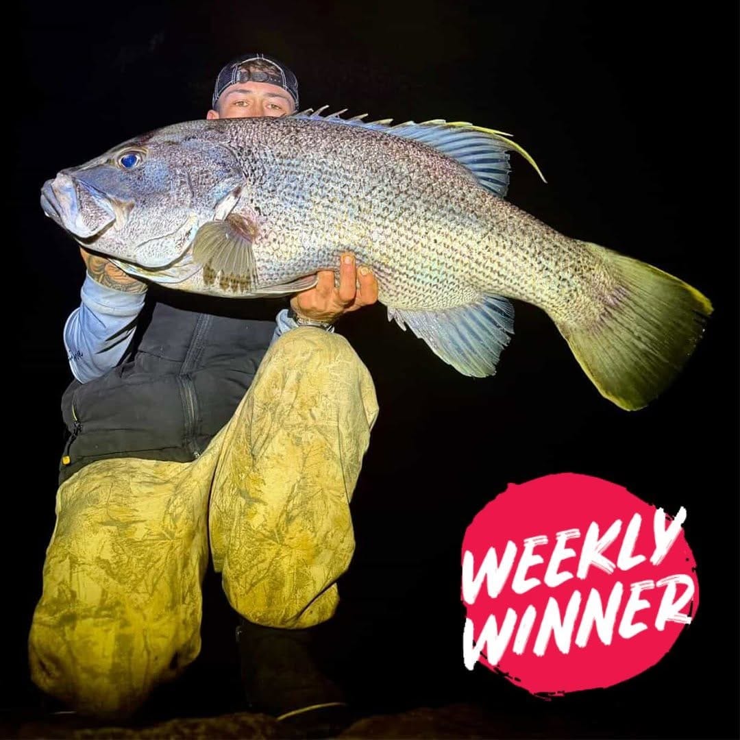 Post 6 by Tackle World Miami on Instagram (carousel)