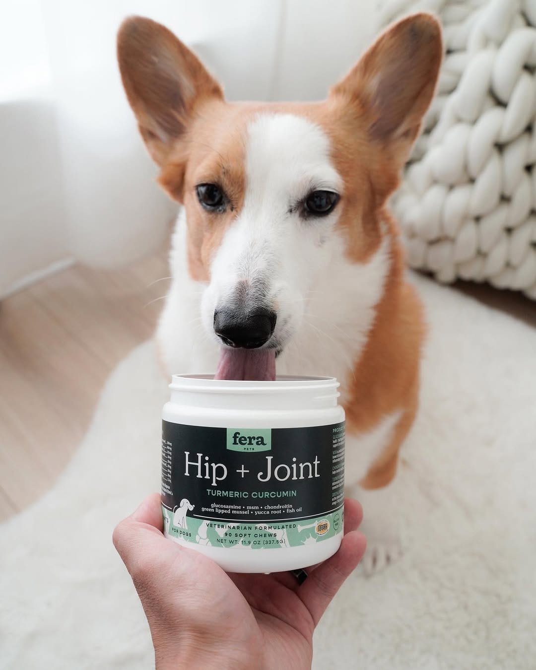 Post 10 by Mochi & Taro The Corgis on Instagram (image)