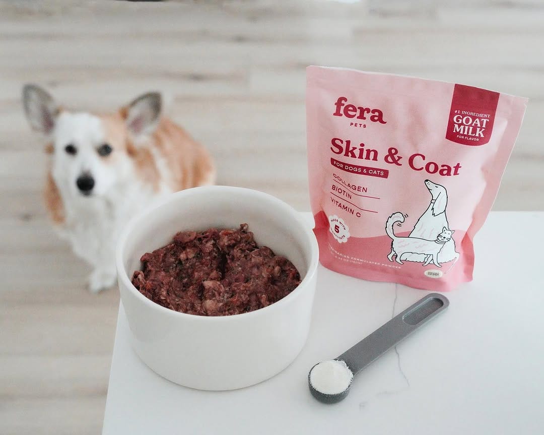 Post 6 by Mochi & Taro The Corgis on Instagram (image)