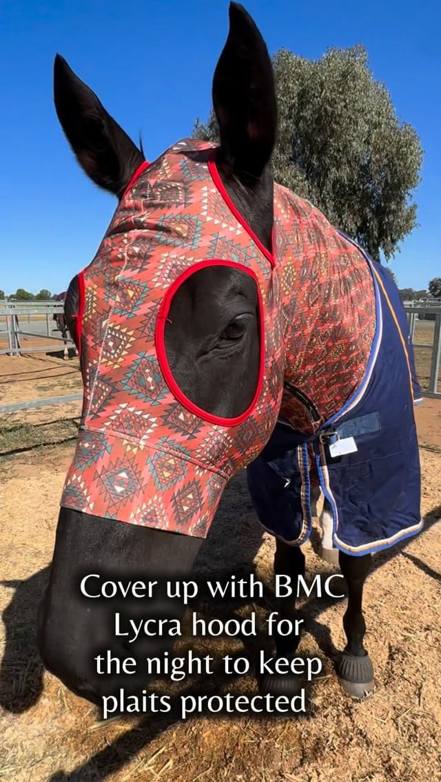 Post 4 by Blue Mountain Cowgirl on Instagram (video)