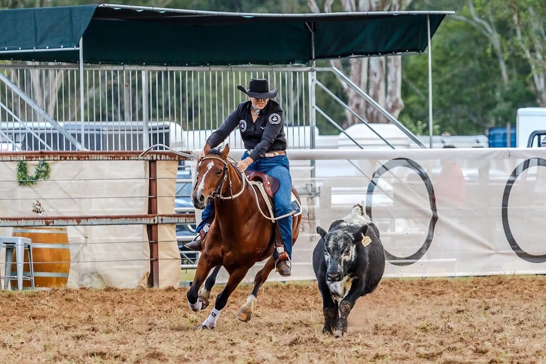 Post 3 by Blue Mountain Cowgirl on Instagram (carousel)