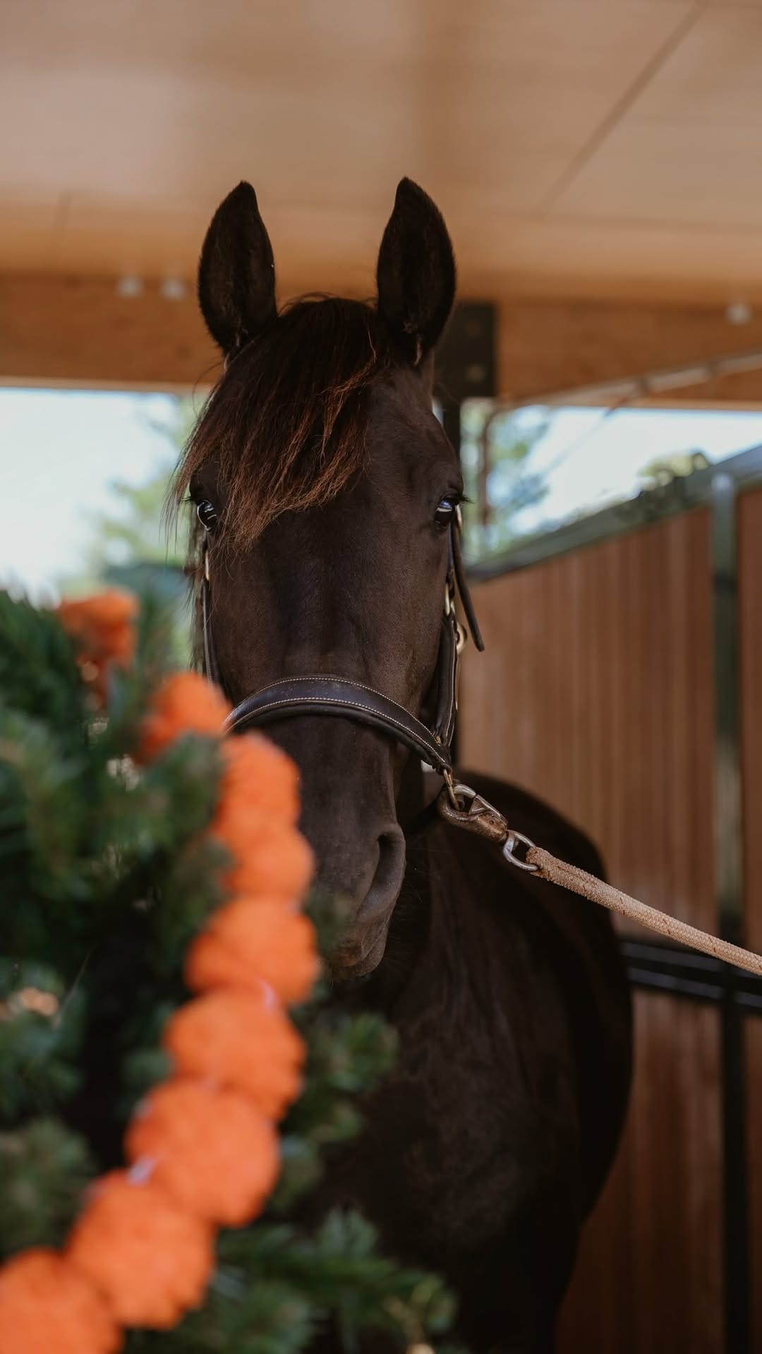 Post 7 by Blue Mountain Cowgirl on Instagram (video)