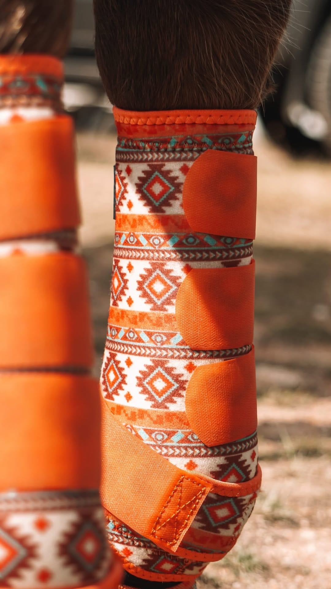 Post 2 by Blue Mountain Cowgirl on Instagram (video)
