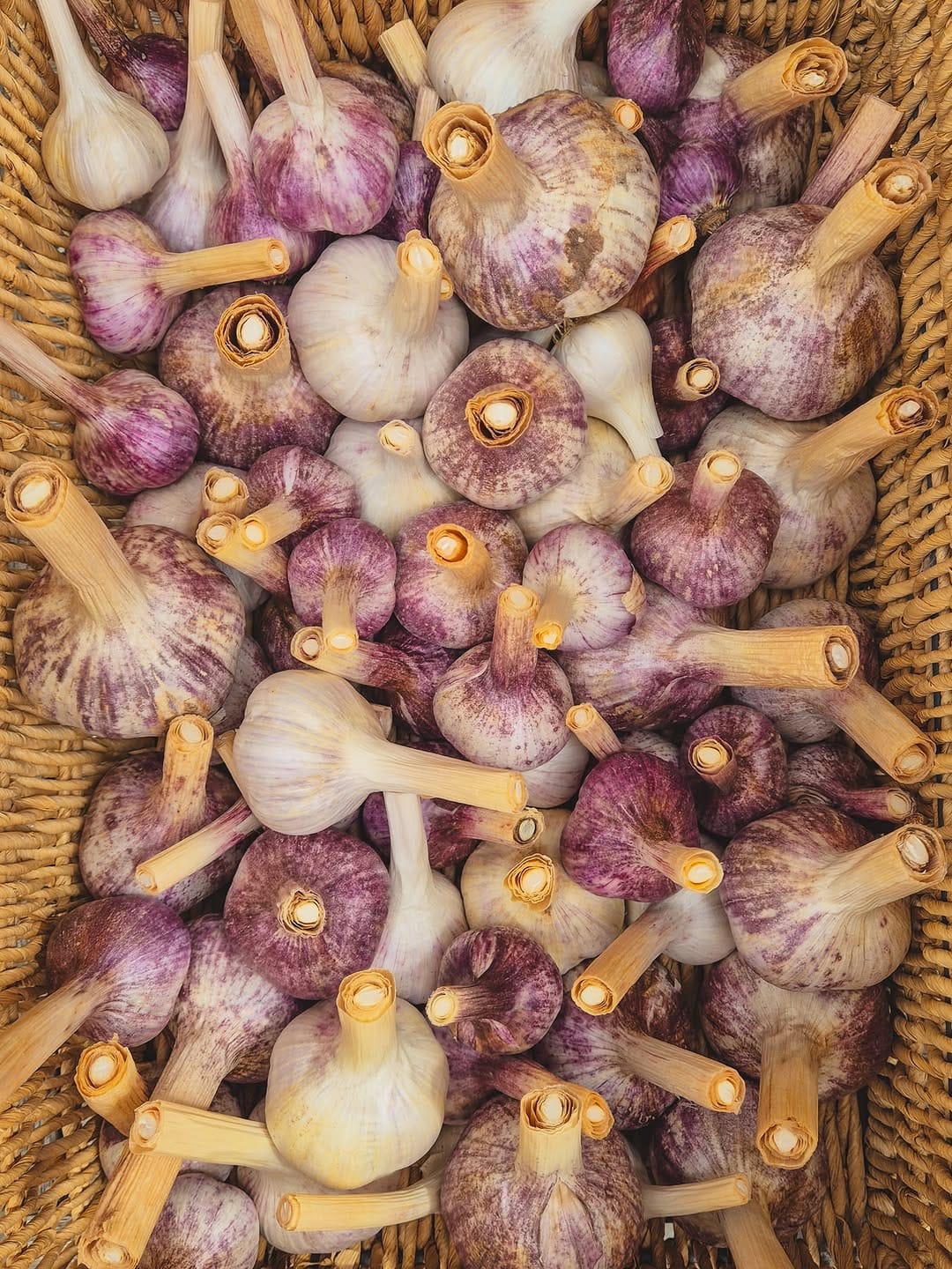 Post 8 by Everything Garden on Instagram (image)