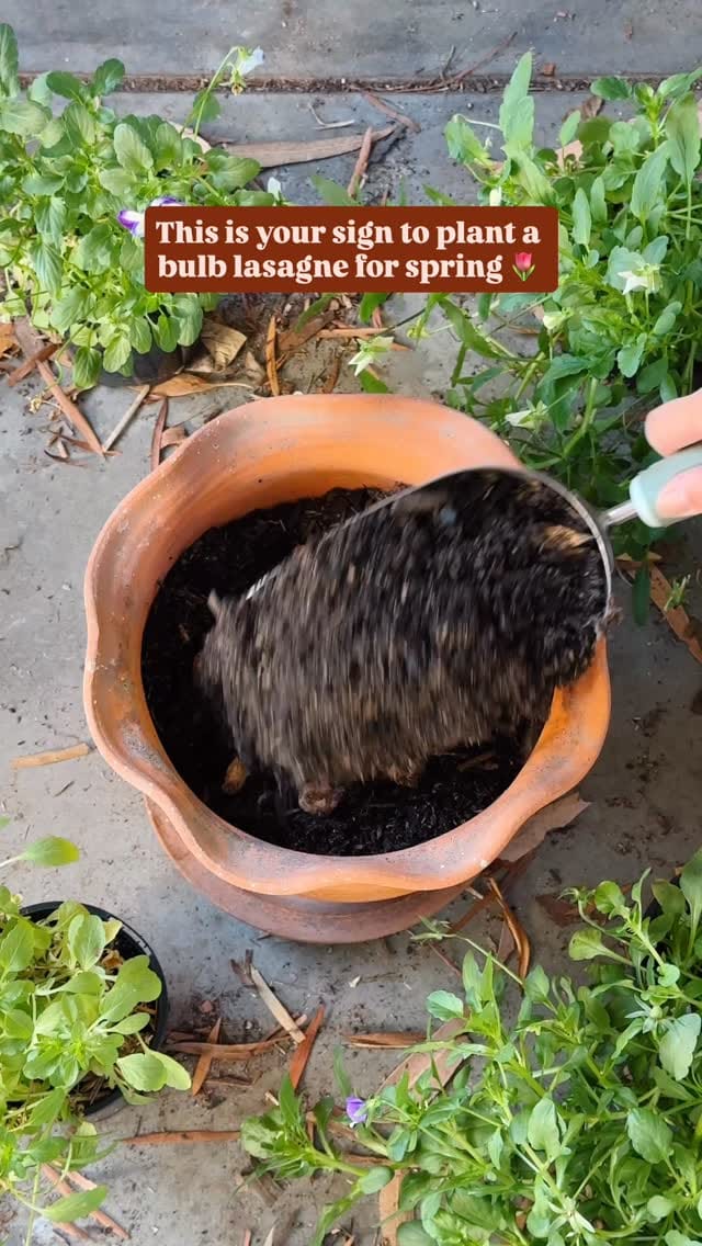 Post 2 by Connie 🌿 Urban Gardening on Instagram (video)