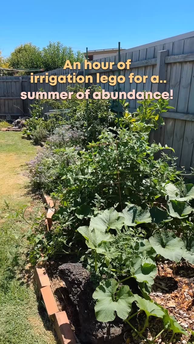 Post 9 by Connie 🌿 Urban Gardening on Instagram (video)