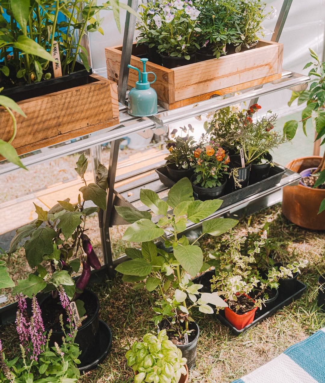 Post 4 by Connie 🌿 Urban Gardening on Instagram (image)