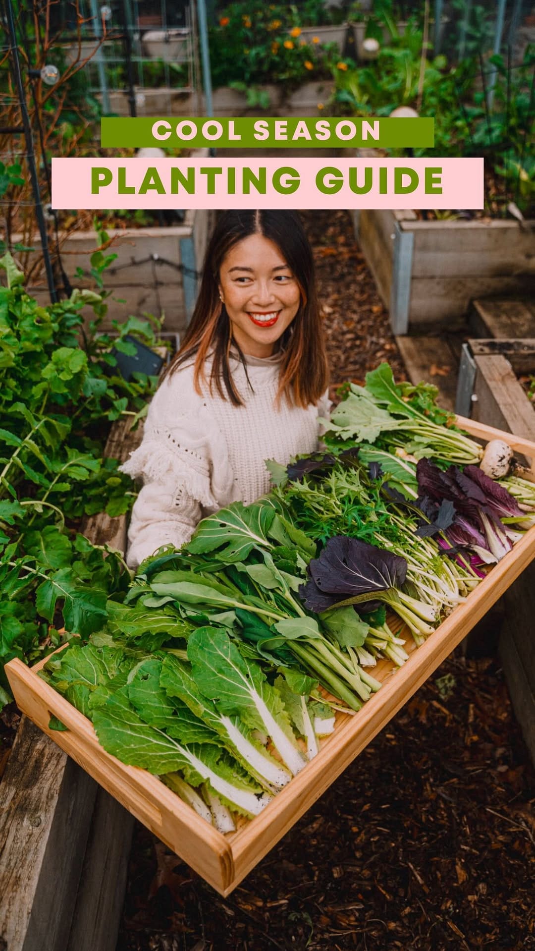 Post 3 by Connie 🌿 Urban Gardening on Instagram (video)