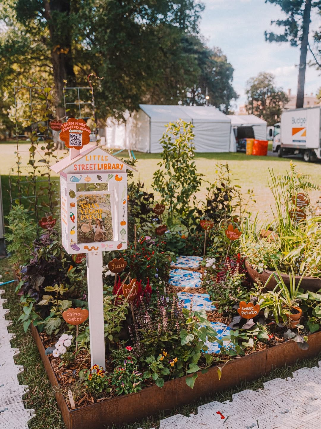 Post 6 by Connie 🌿 Urban Gardening on Instagram (carousel)