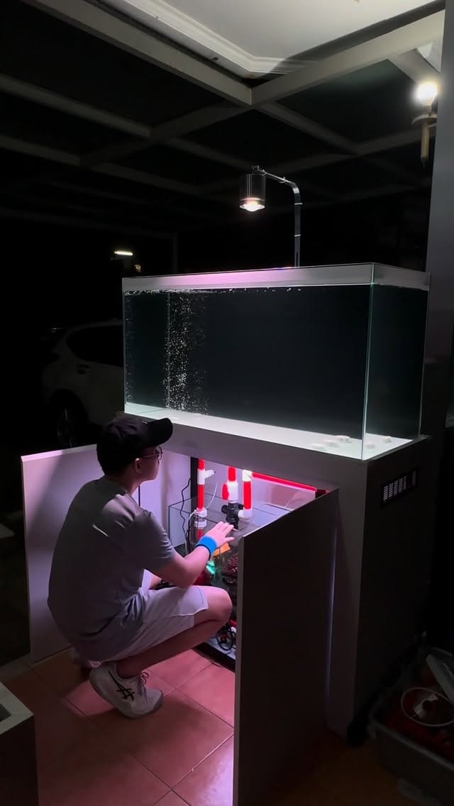 Post 4 by HolyFish Aquarium | Freshwater Tank & Goldfish Specialist on Instagram (video)