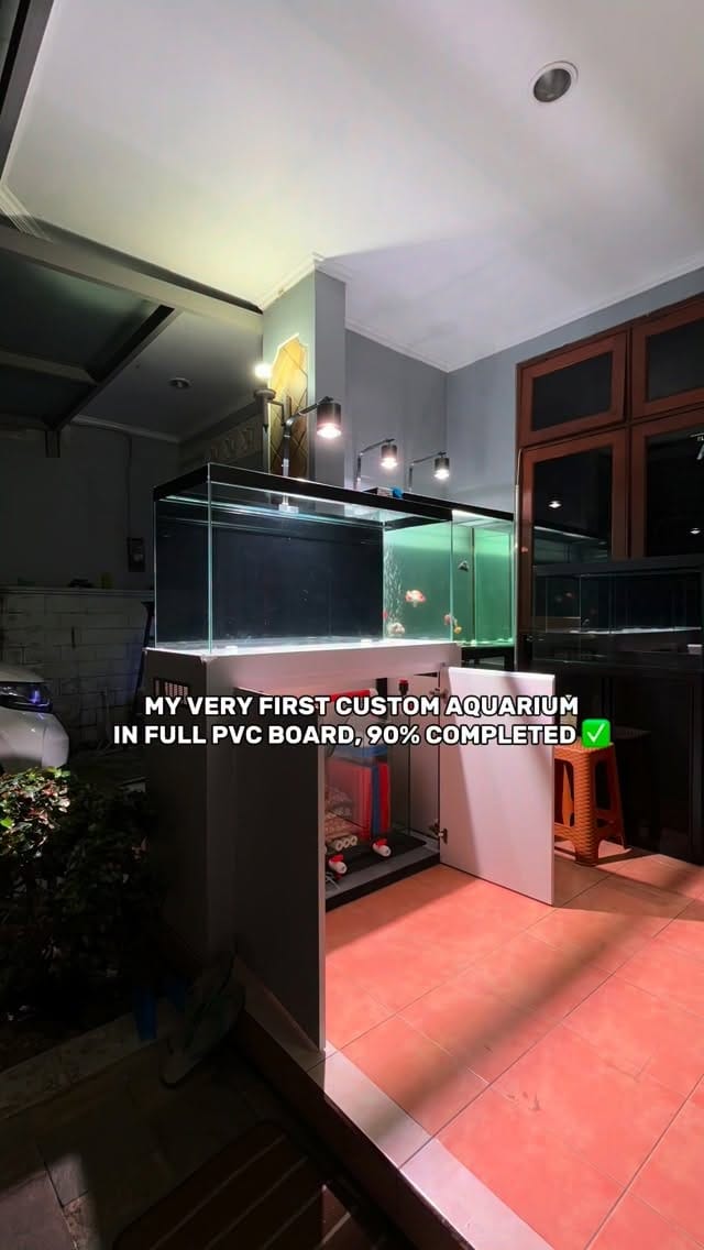 Post 5 by HolyFish Aquarium | Freshwater Tank & Goldfish Specialist on Instagram (video)