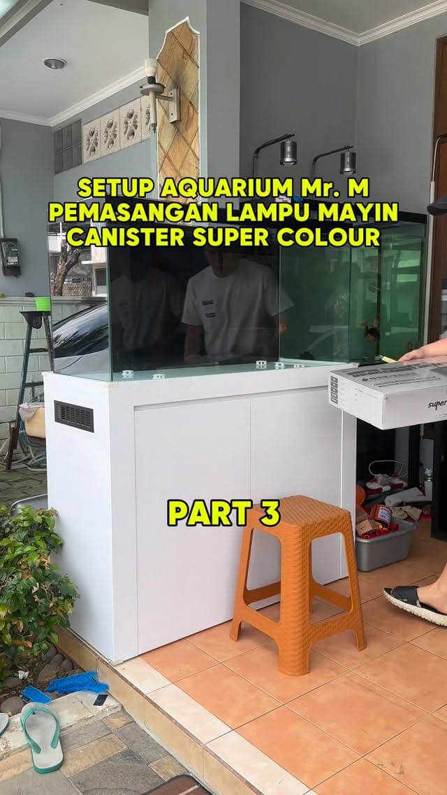 Post 6 by HolyFish Aquarium | Freshwater Tank & Goldfish Specialist on Instagram (video)