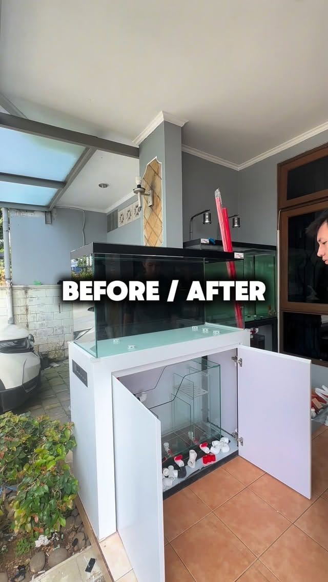 Post 1 by HolyFish Aquarium | Freshwater Tank & Goldfish Specialist on Instagram (video)
