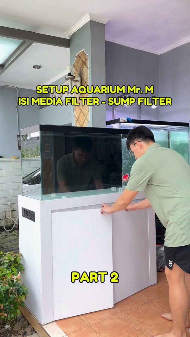 Post 7 by HolyFish Aquarium | Freshwater Tank & Goldfish Specialist on Instagram (video)