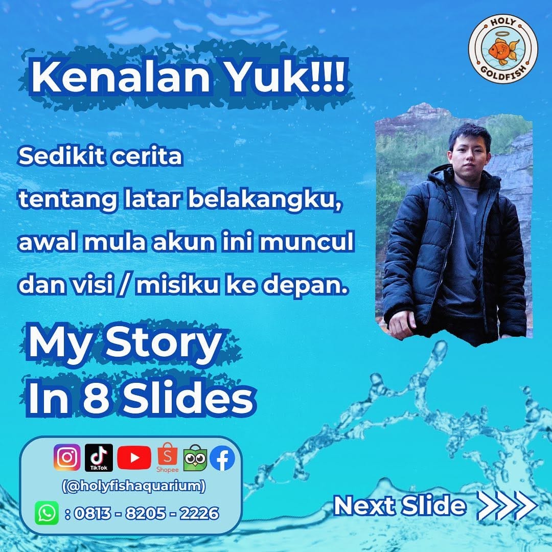 Post 9 by HolyFish Aquarium | Freshwater Tank & Goldfish Specialist on Instagram (carousel)