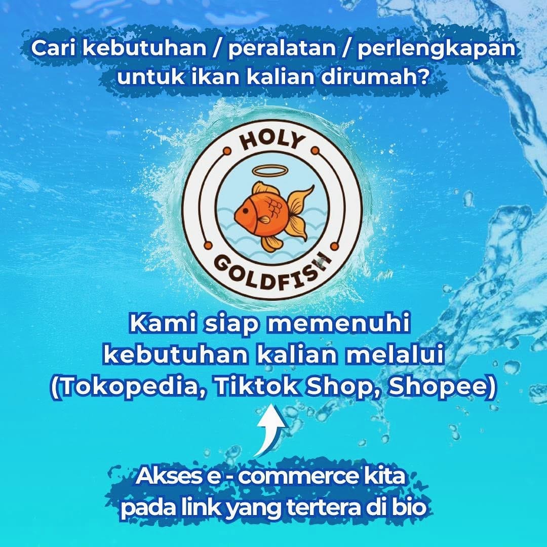 Post 8 by HolyFish Aquarium | Freshwater Tank & Goldfish Specialist on Instagram (image)