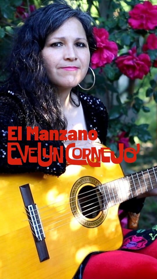 Post 8 by Evelyn Cornejo on Instagram (video)