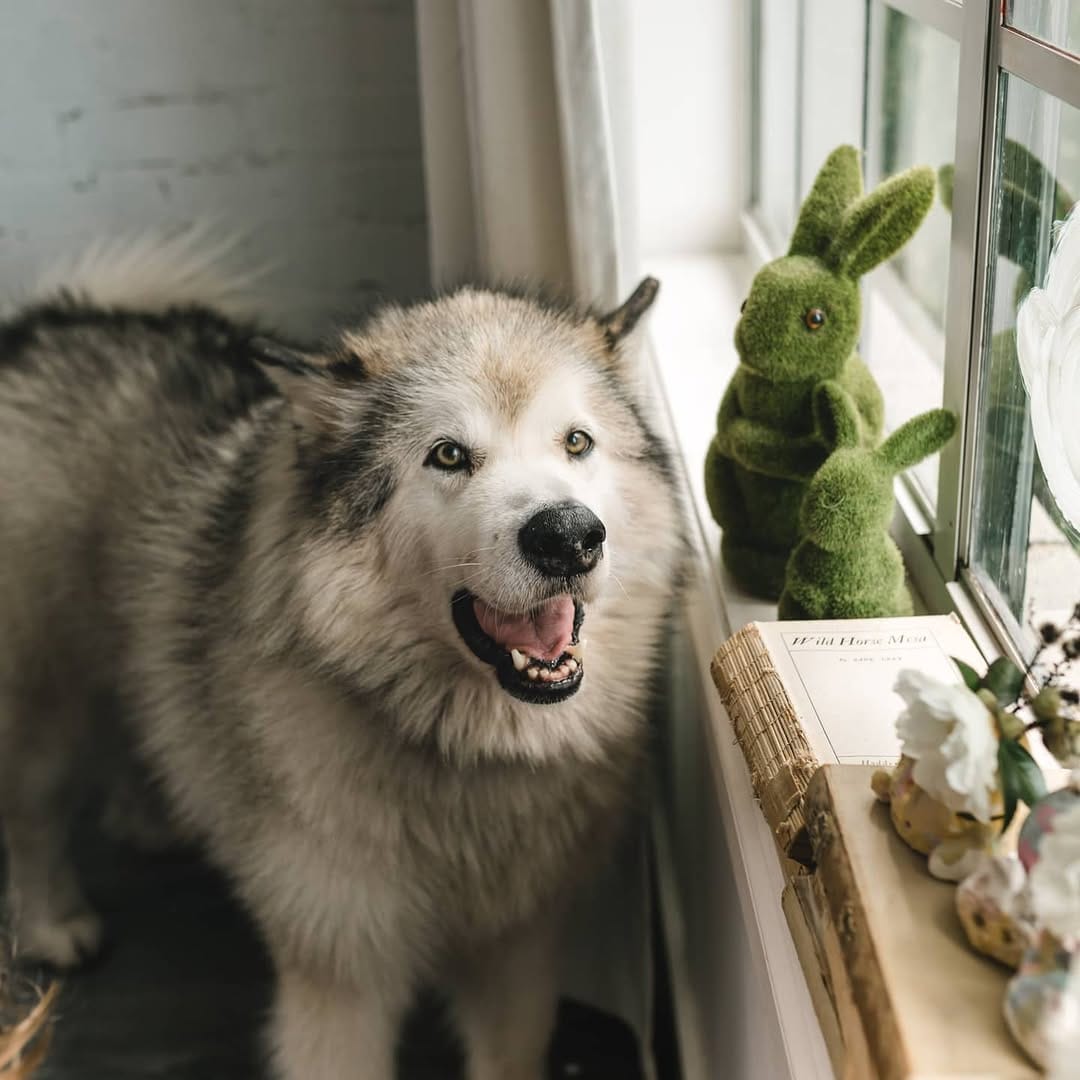 Post 9 by Utah + Iowa on Instagram (image)