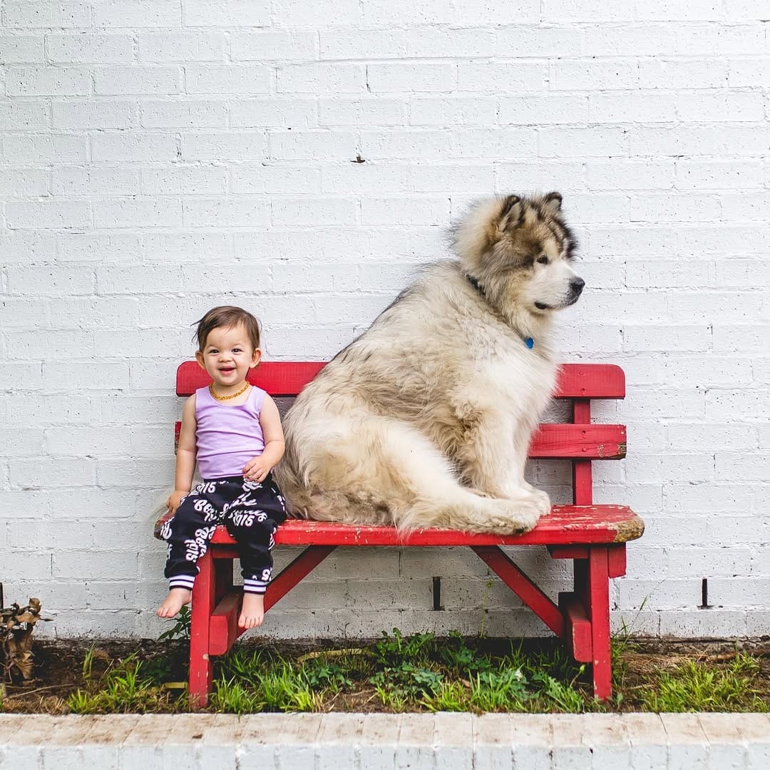 Post 3 by Utah + Iowa on Instagram (image)
