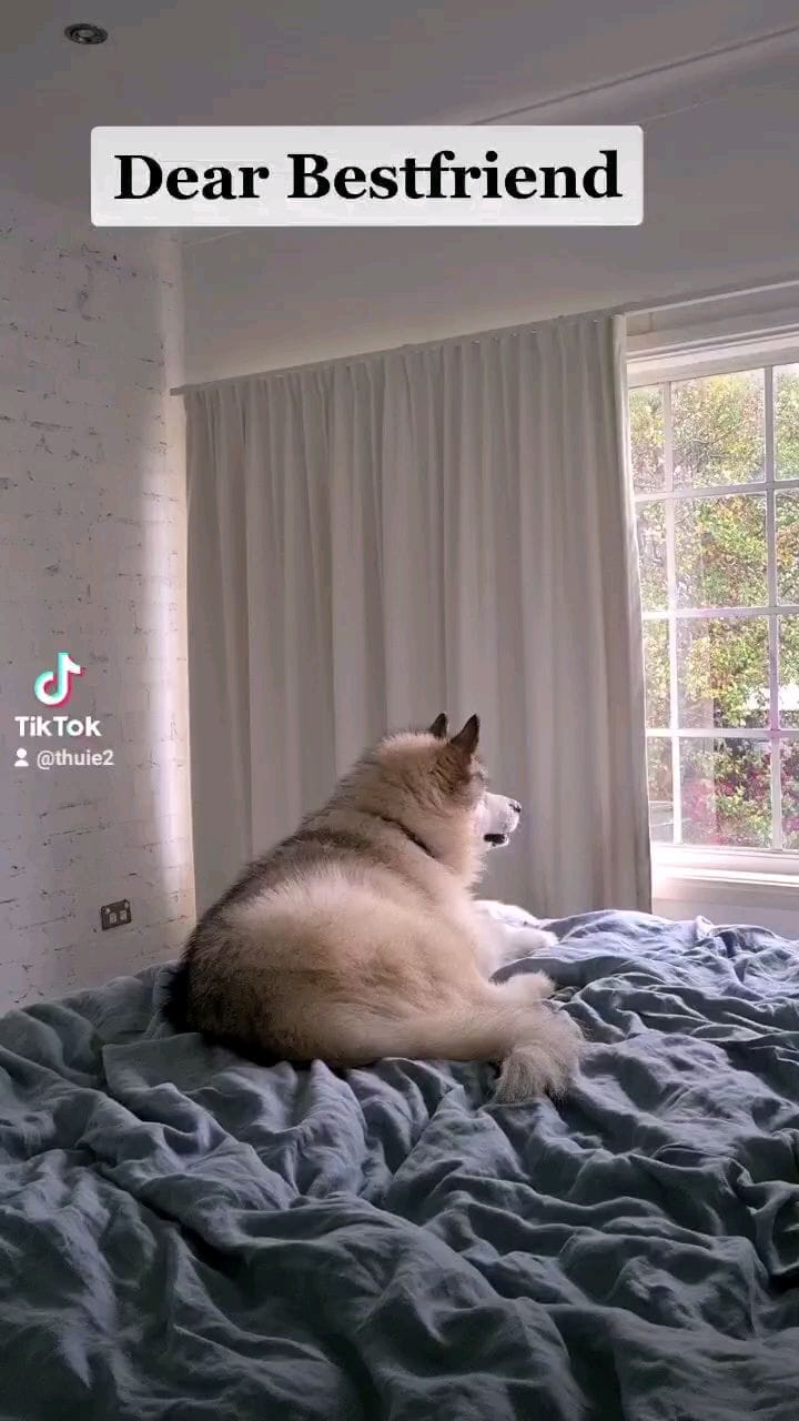 Post 5 by Utah + Iowa on Instagram (video)