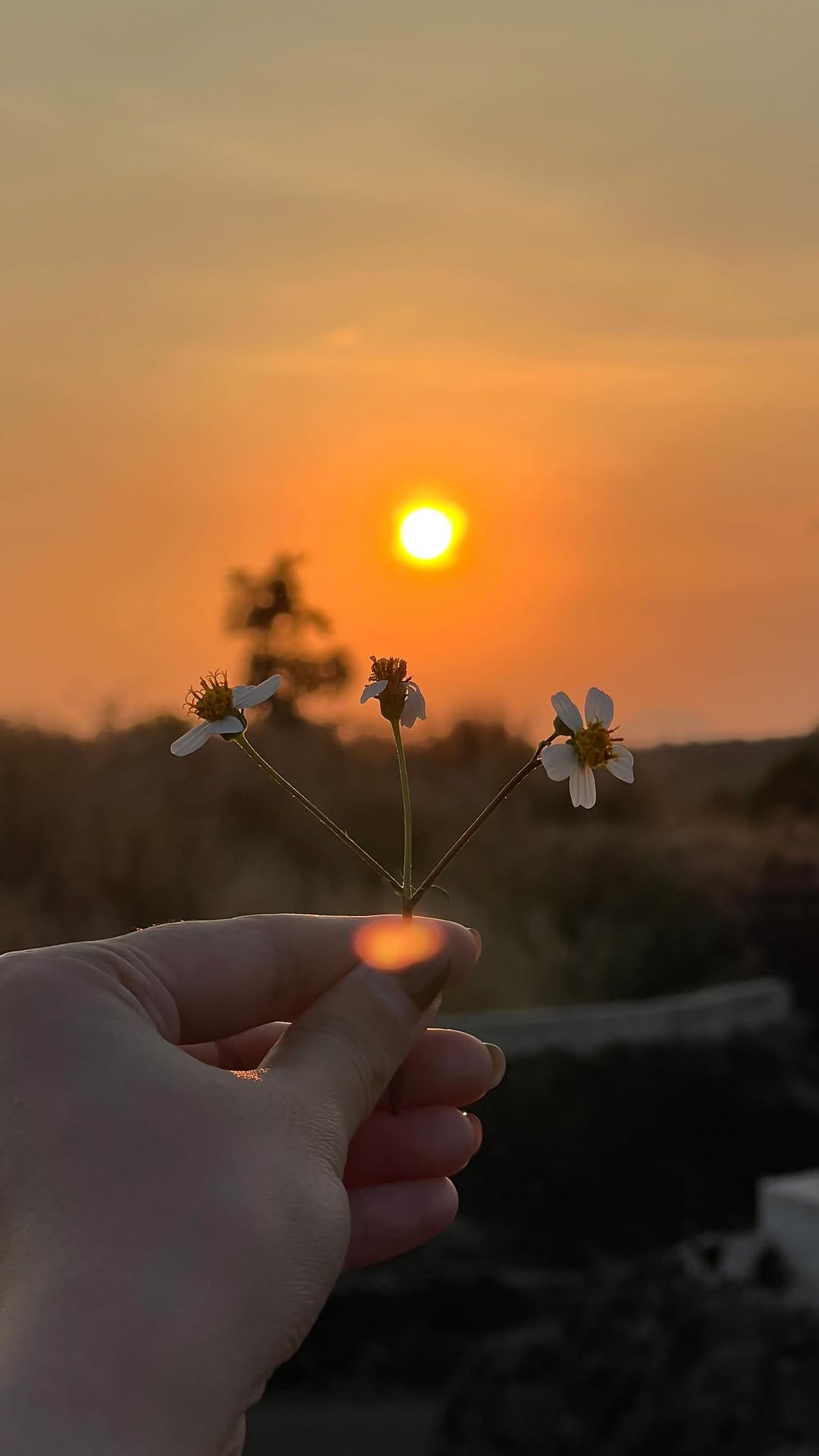 Post 7 by Thanh Anh-清英 on Instagram (video)