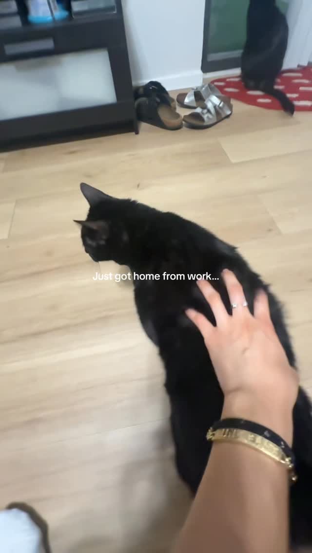 Post 1 by Sara the G on Instagram (video)