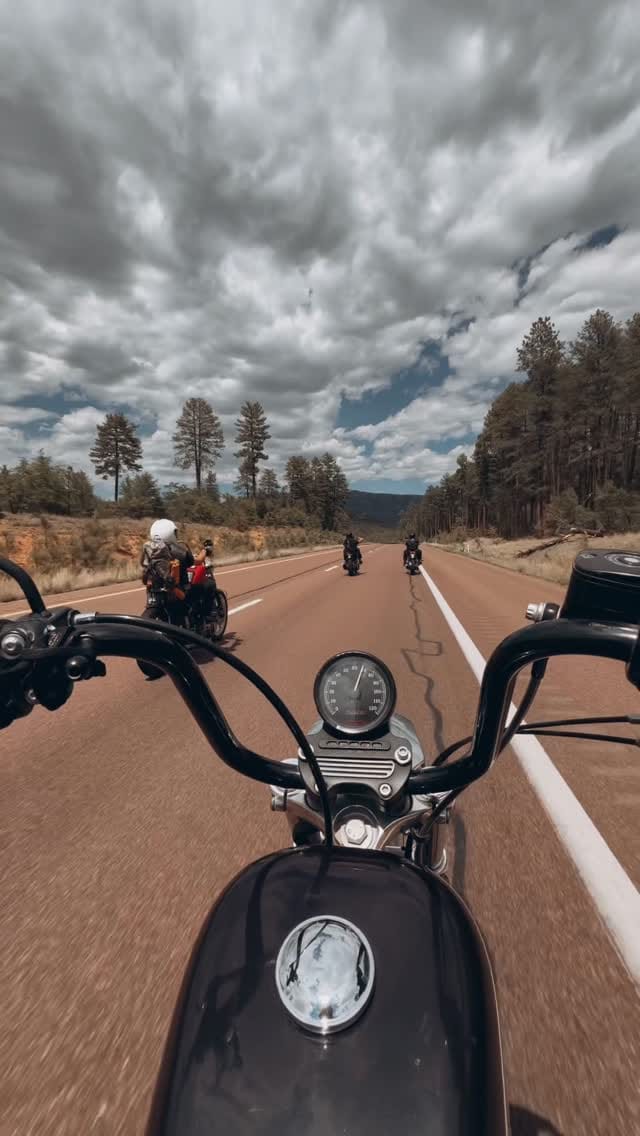 Post 1 by m u s t a n g   s a l l y on Instagram (video)