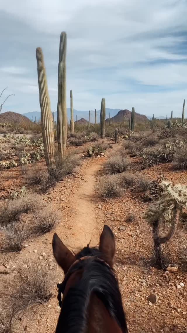 Post 5 by m u s t a n g   s a l l y on Instagram (video)