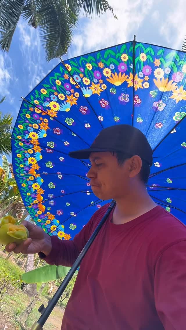 Post 1 by vix on Instagram (video)