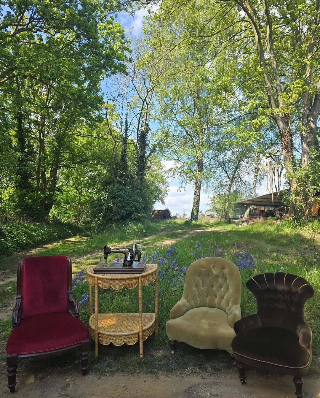 Post 8 by Lady Norfolk and Lord Rust on Instagram (image)