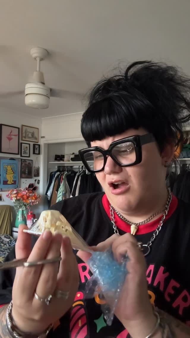Post 3 by Insect Frames, Taxidermy & Oddities 🖤🕷️ on Instagram (video)