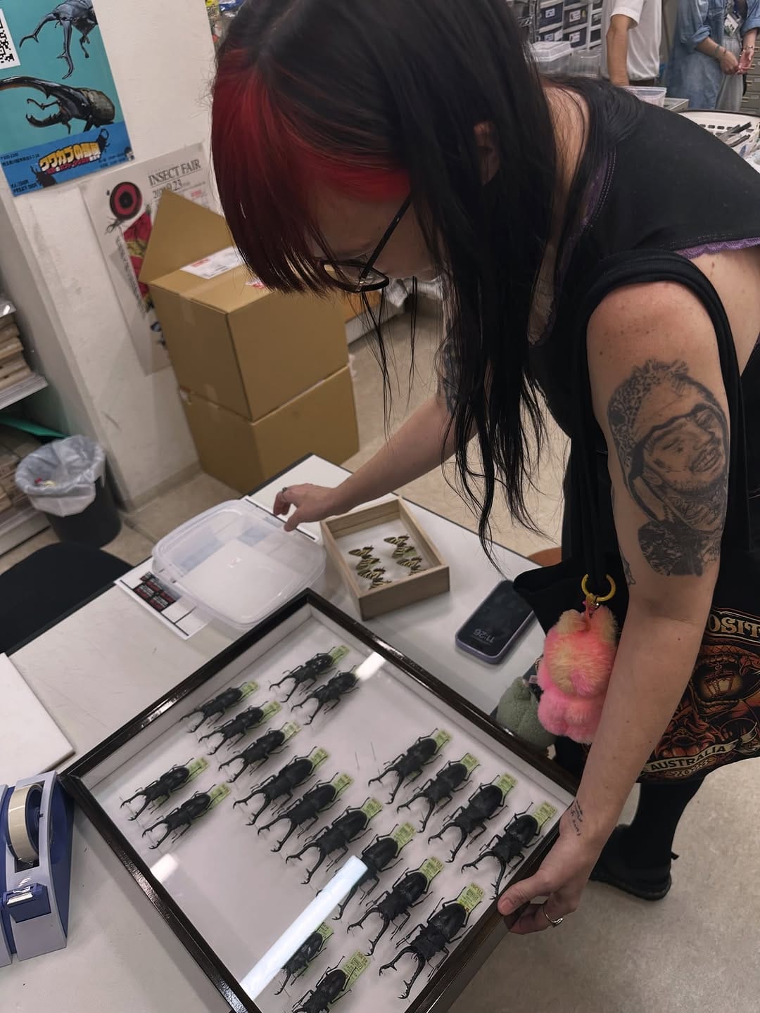 Post 10 by Insect Frames, Taxidermy & Oddities 🖤🕷️ on Instagram (carousel)