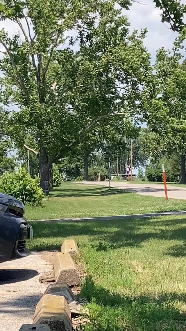 Post 5 by Eduskate on Instagram (video)