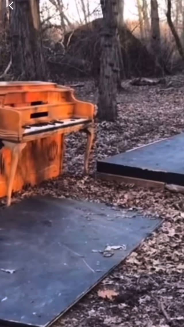 Post 3 by Estación R ® on Instagram (video)