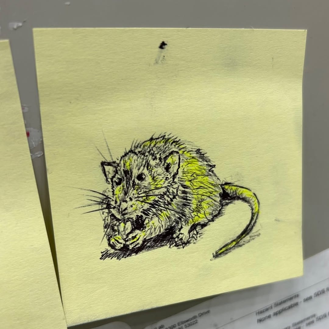 Post 2 by Ken Baker on Instagram (image)