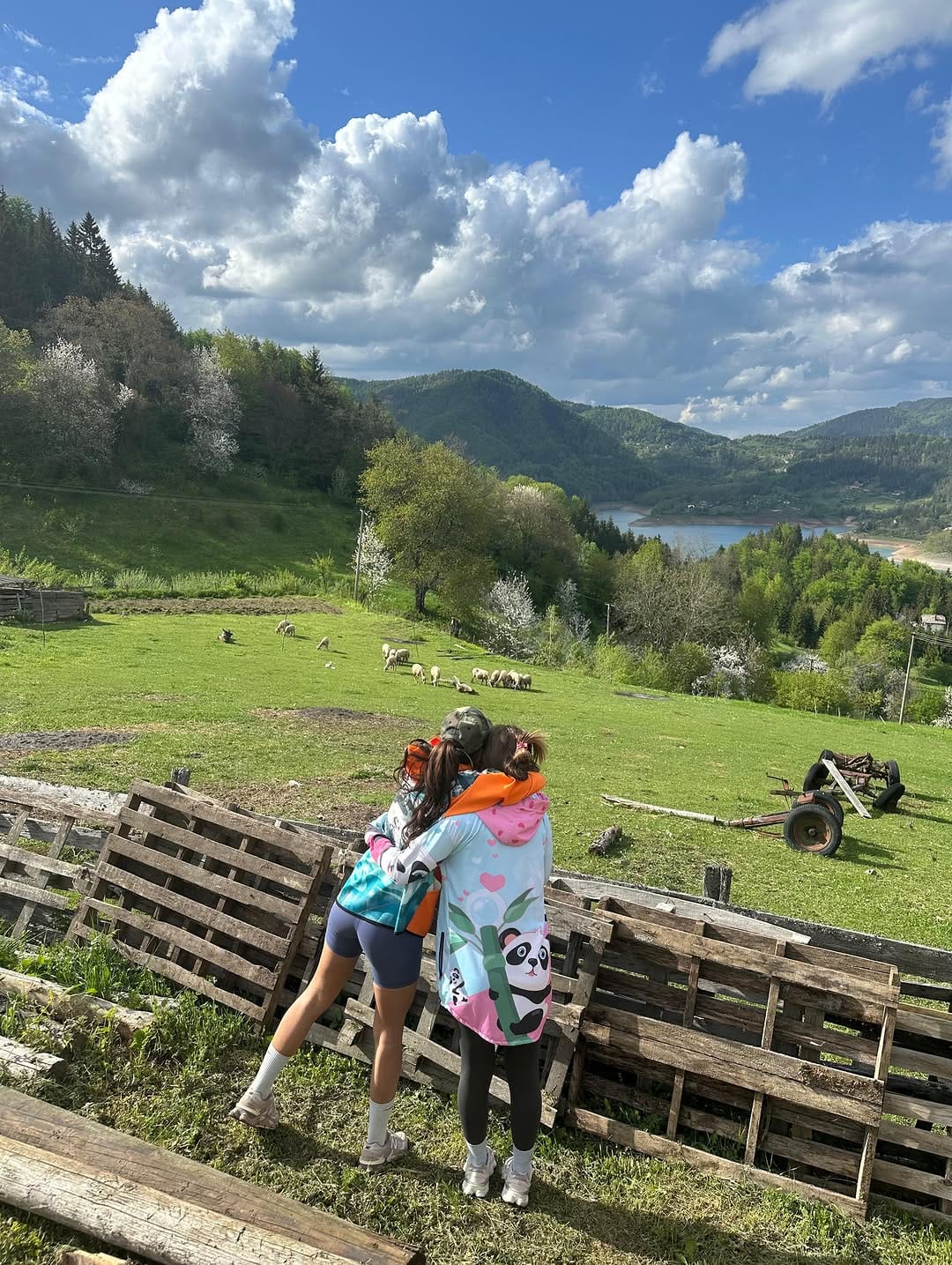 Post 1 by Smeštaj na Tari, Zaovine on Instagram (carousel)