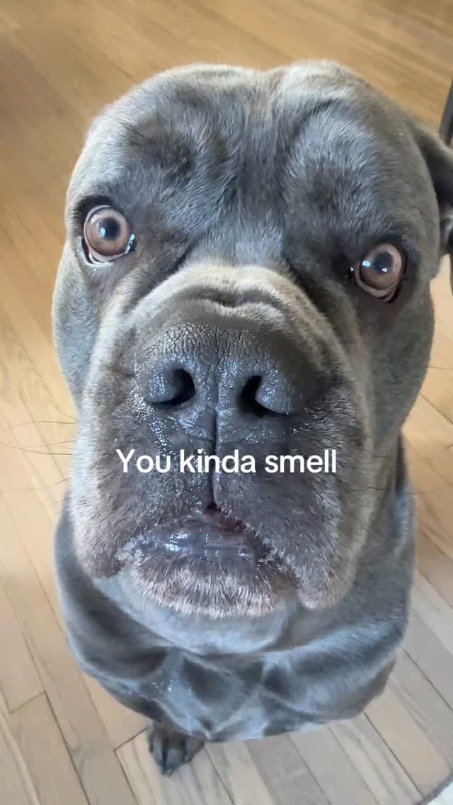 Post 1 by Jinbe on Instagram (video)