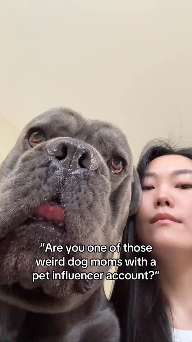 Post 4 by Jinbe on Instagram (video)
