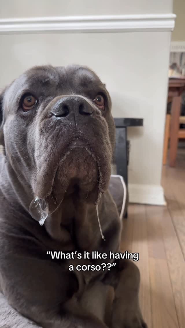 Post 6 by Jinbe on Instagram (video)