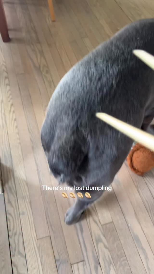 Post 5 by Jinbe on Instagram (video)