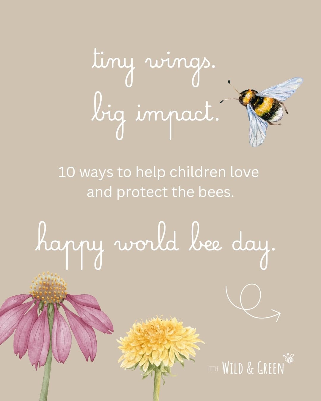 Post 6 by Little Wild & Green | Natural Sensory Play on Instagram (carousel)