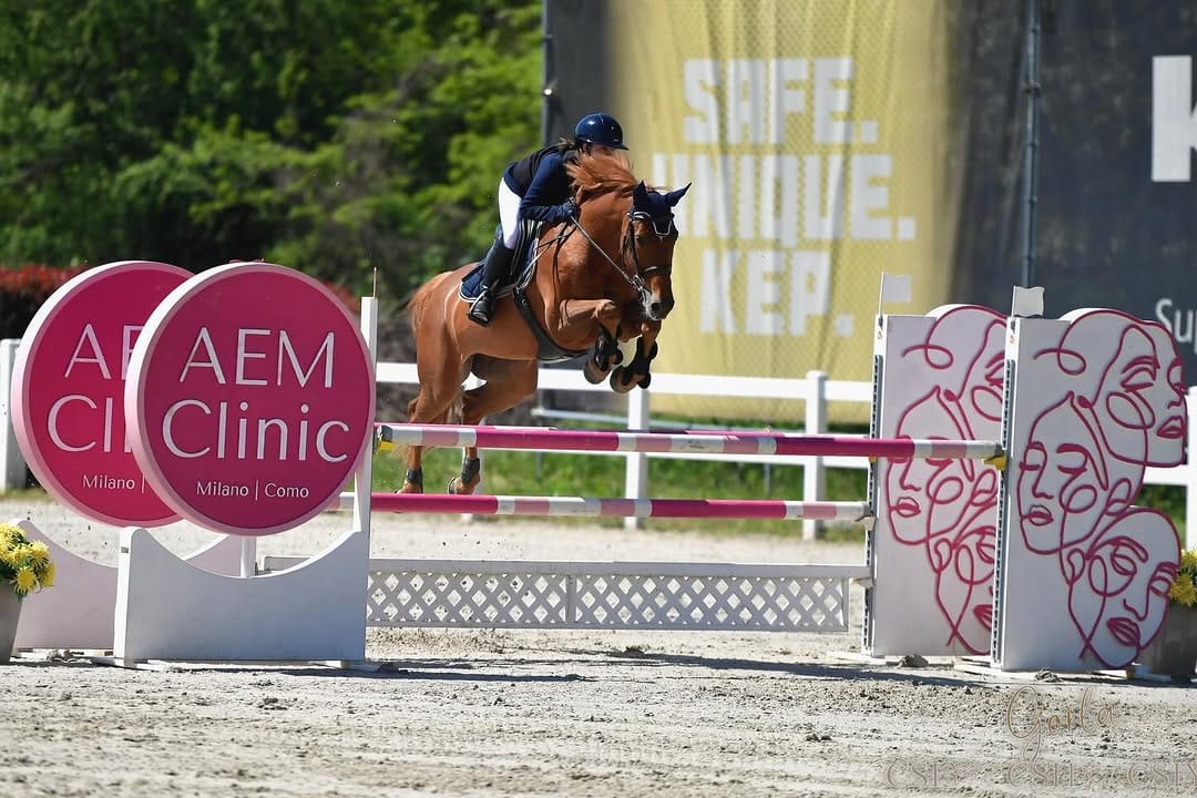 Post 5 by Selleria My Horse on Instagram (carousel)