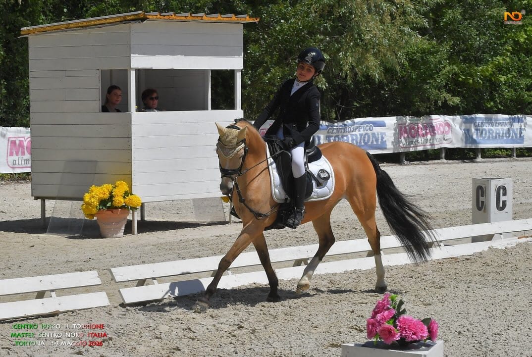 Post 6 by Selleria My Horse on Instagram (carousel)