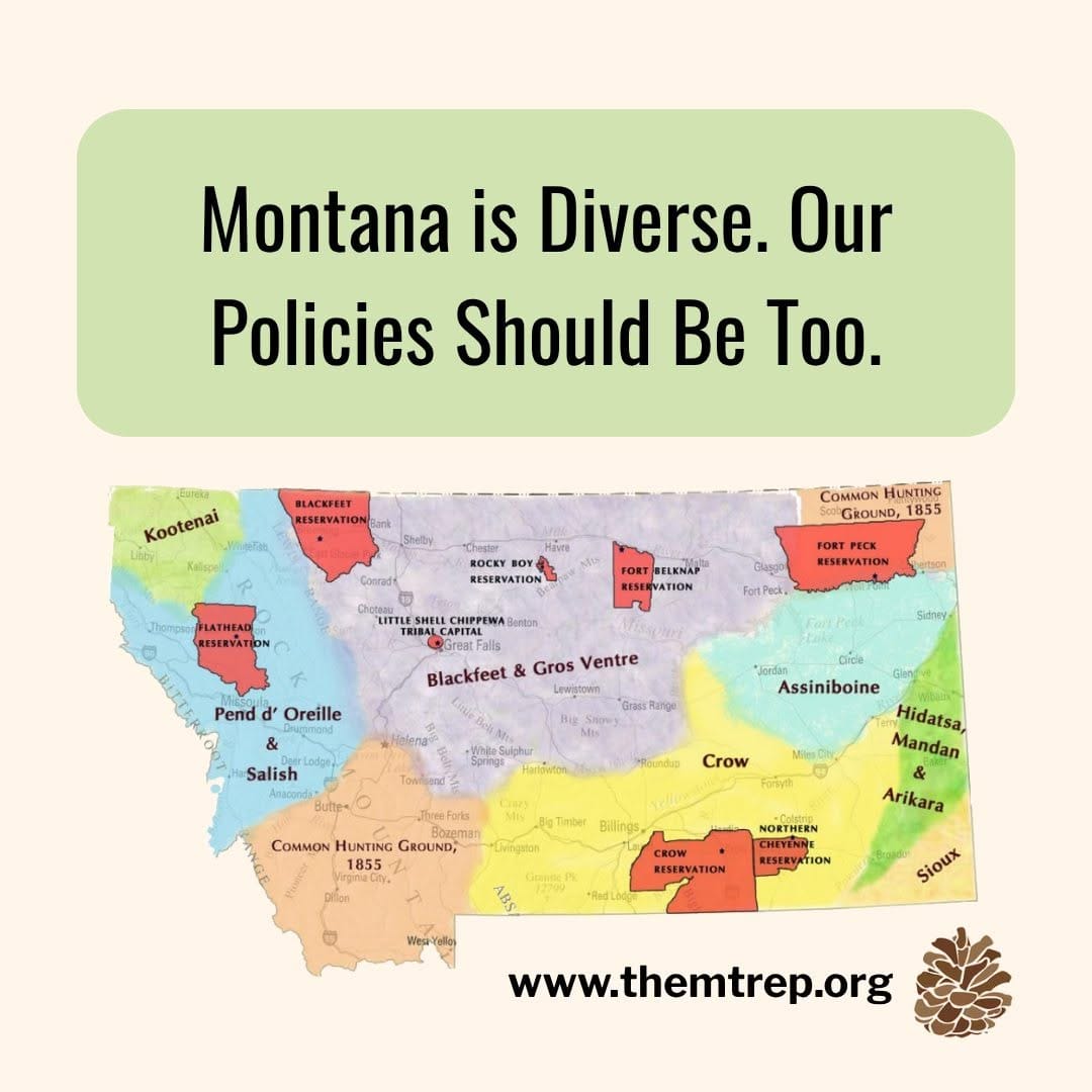 Post 9 by Montana Racial Equity Project on Instagram (image)