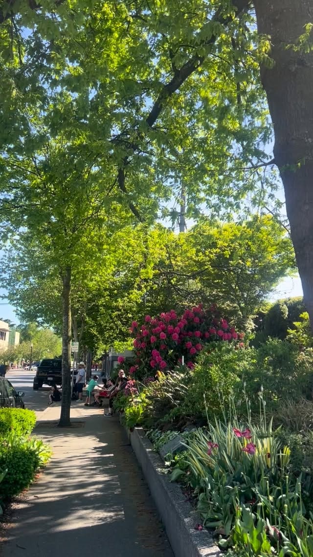 Post 9 by Mount Vernon Downtown Assoc. on Instagram (video)