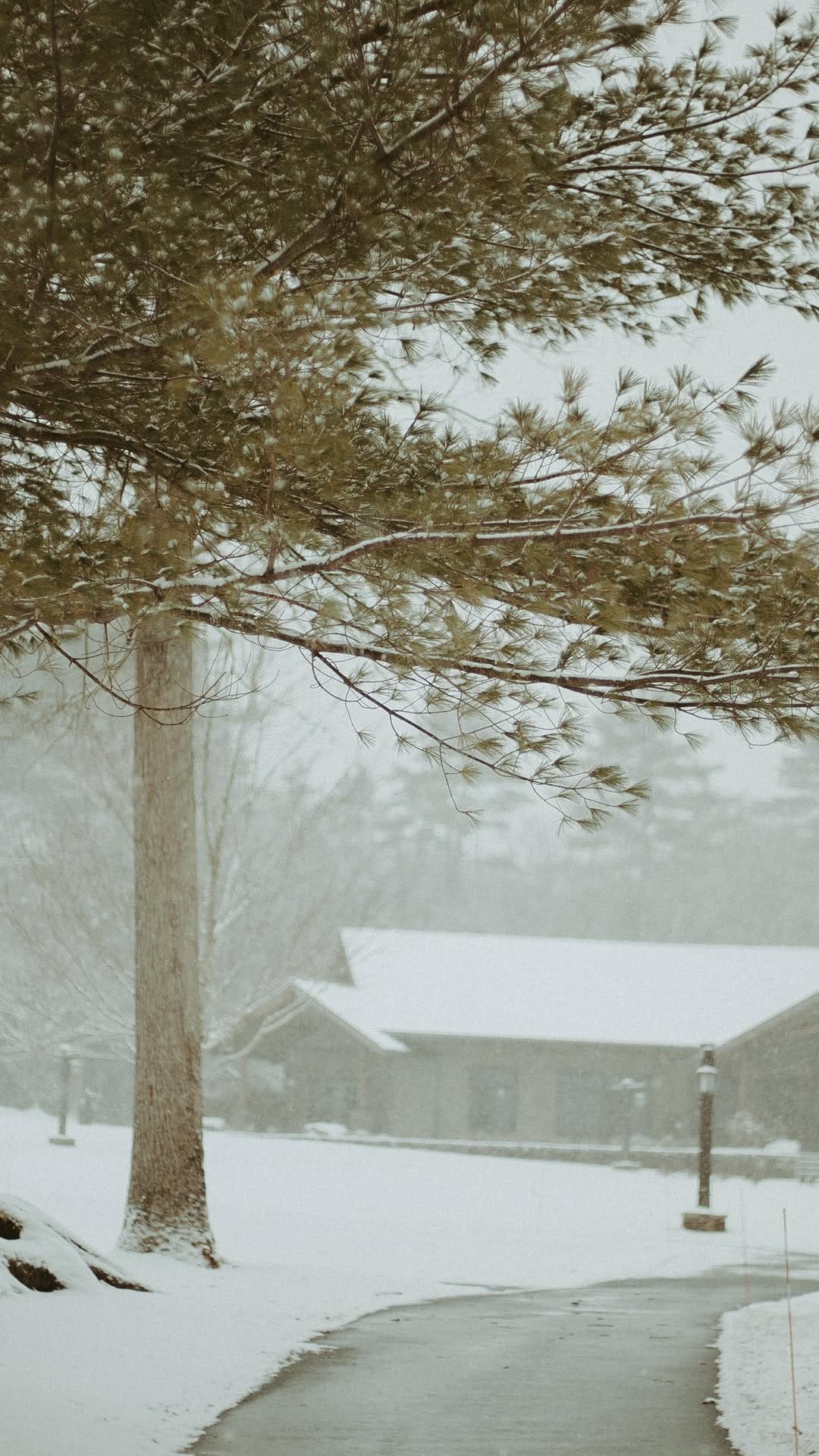 Post 5 by Young Life's Lake Champion on Instagram (video)