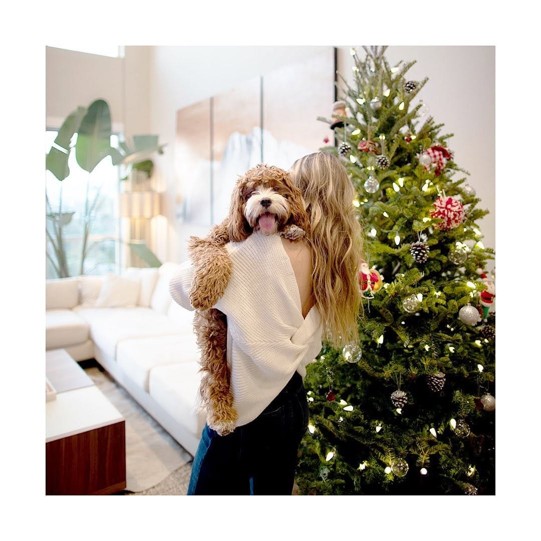 Post 8 by MISO & CO on Instagram (image)