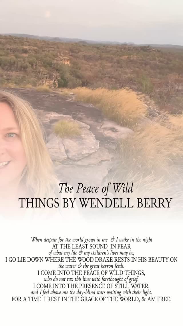 Post 8 by Kylea Tink on Instagram (video)