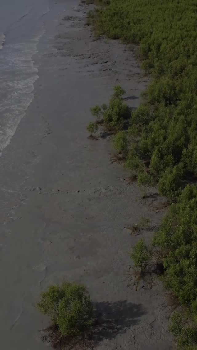 Post 2 by PNM Cabang Makassar on Instagram (video)
