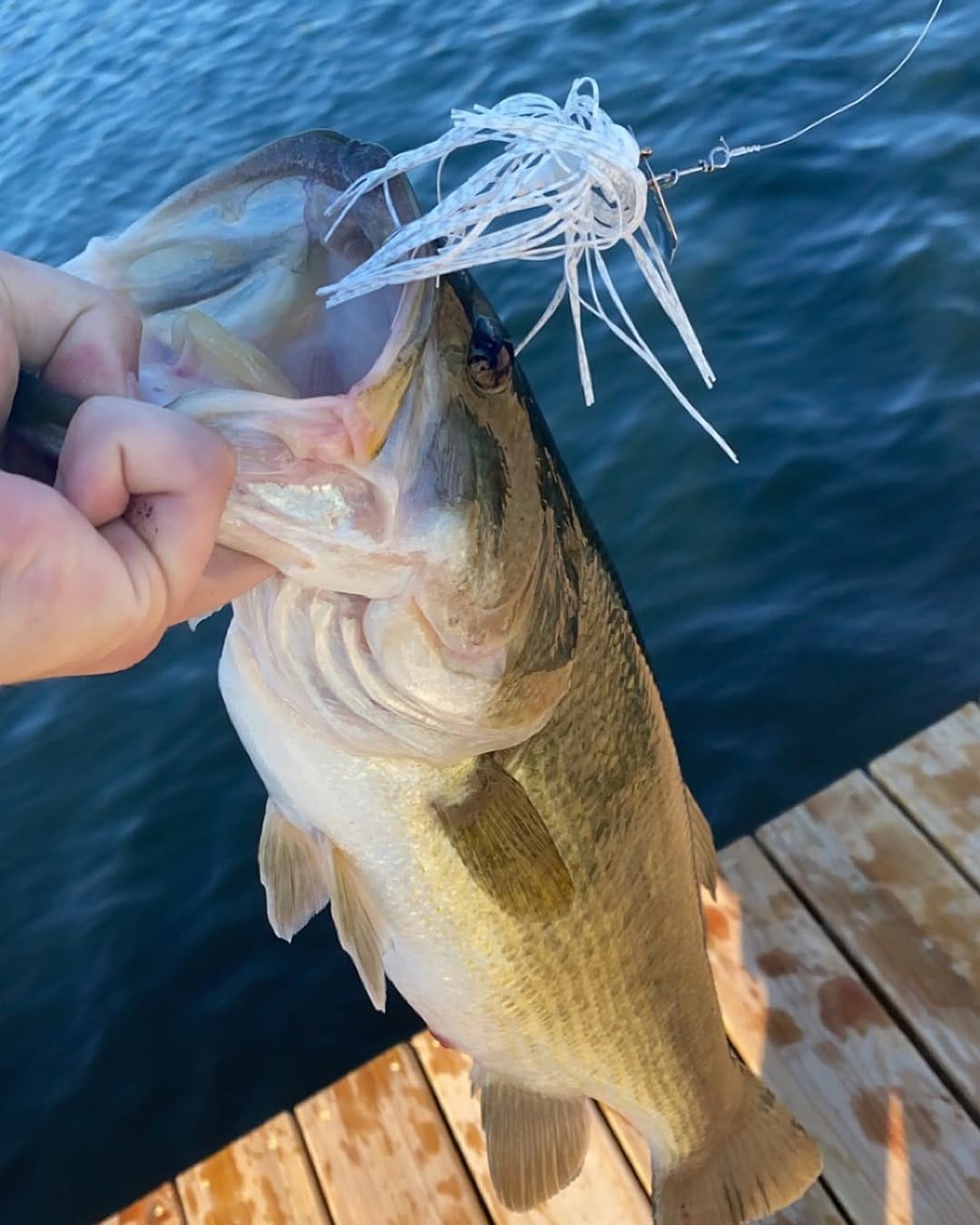 Post 5 by Off The Dock Outdoors on Instagram (image)